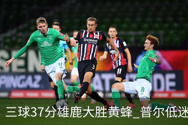 三球37分雄鹿大胜黄蜂 普尔低迷奇才负尼克斯