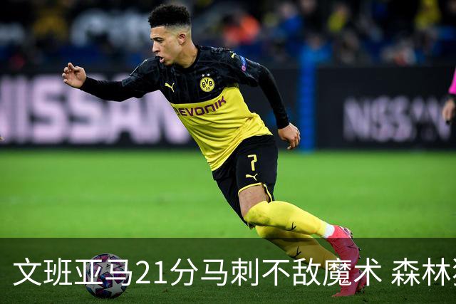 文班亚马21分马刺不敌魔术 森林狼大胜独行侠